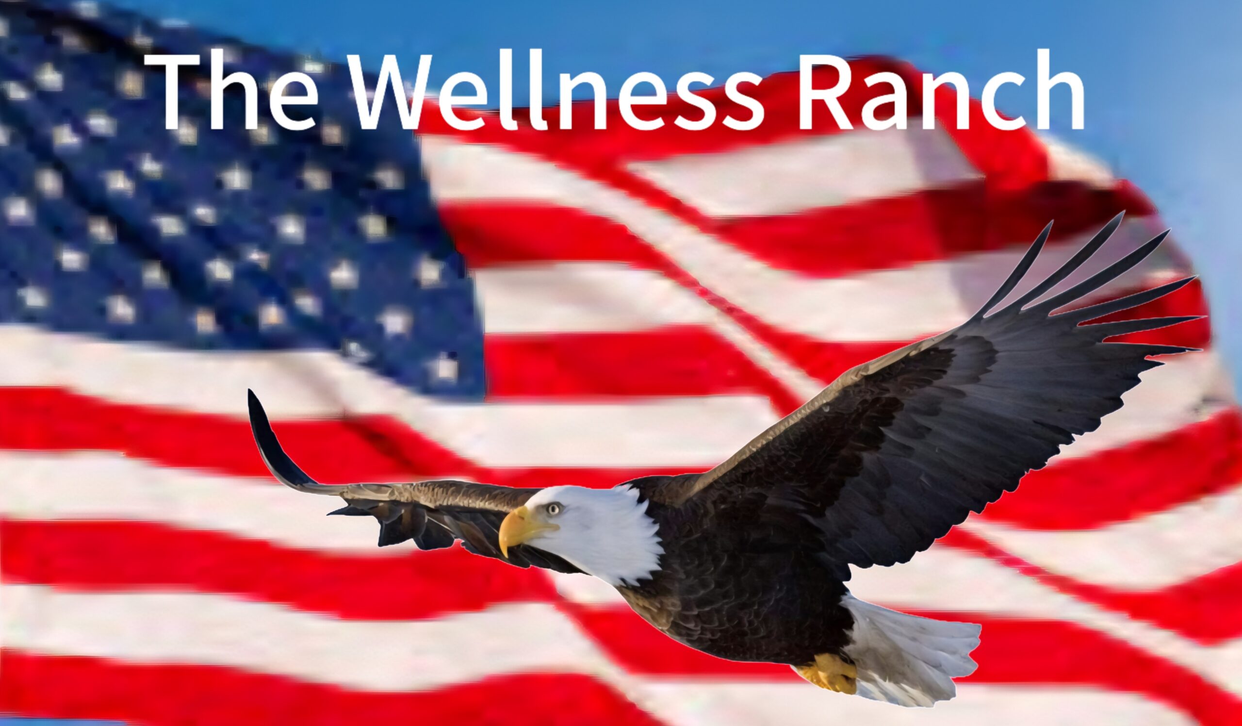 The Wellness Ranch