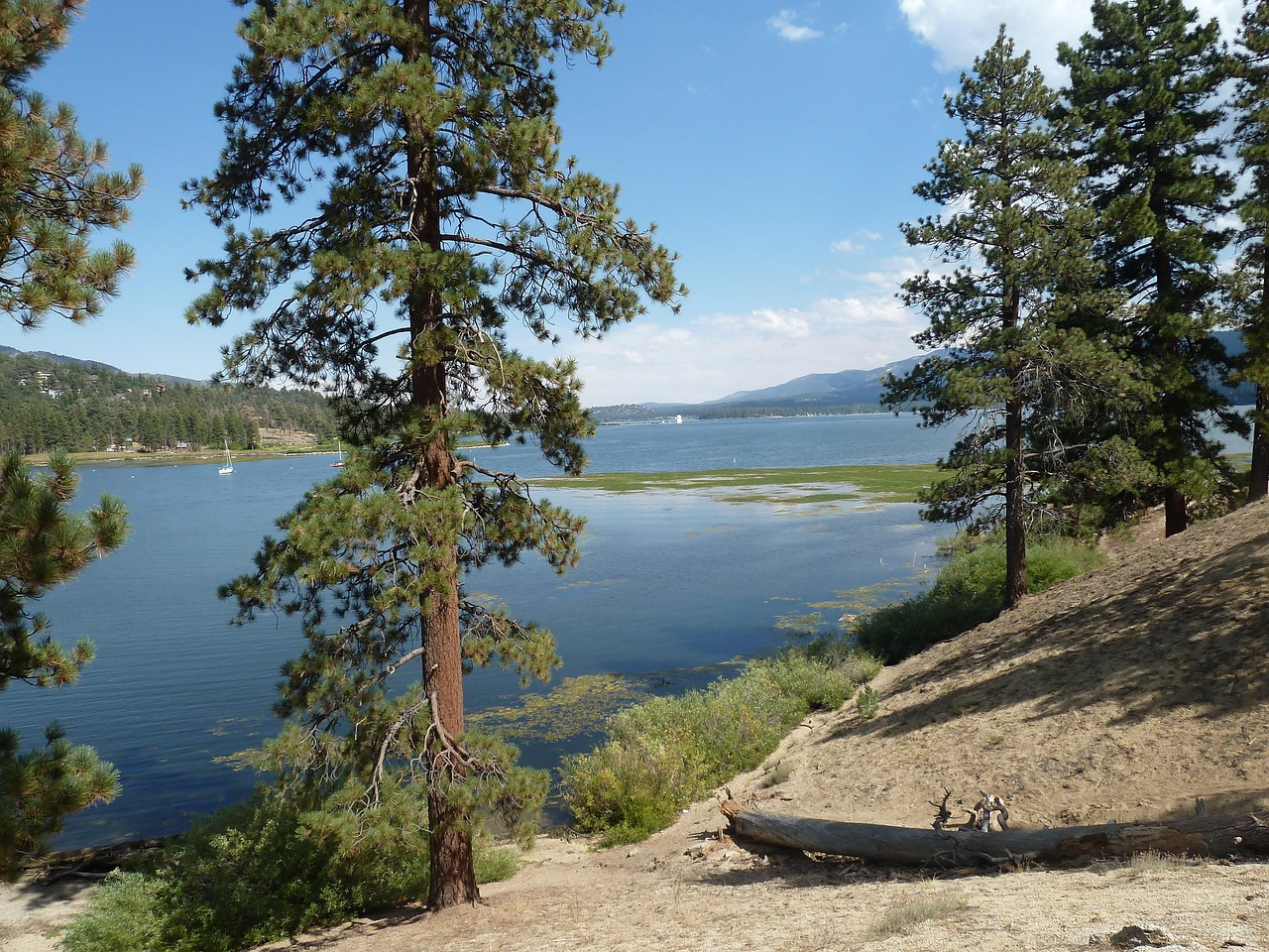 big bear, lake, forest, rocks, rock formation, outdoors, mountains, nature, mountain